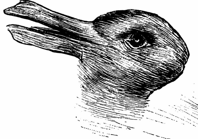 conejo-pato